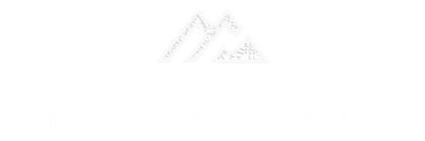 AEX Metal Madencilik